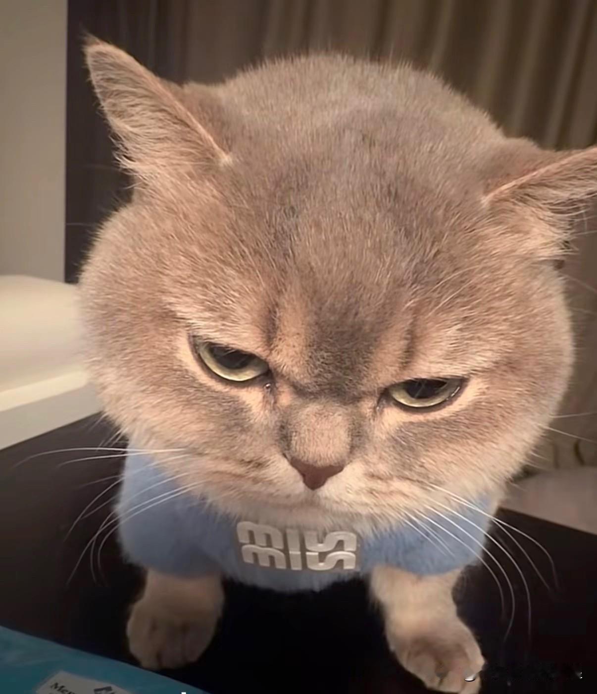 下午2:16，午后白酒板块异动拉升，板块内批量涨停，小盘股普遍调整，接下来怎么看