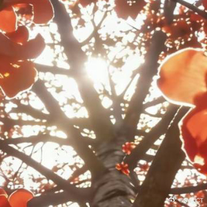 每日一善每日一善做一个内心有光的人，明媚自己也明媚世界，心存善念，人生路会走得踏