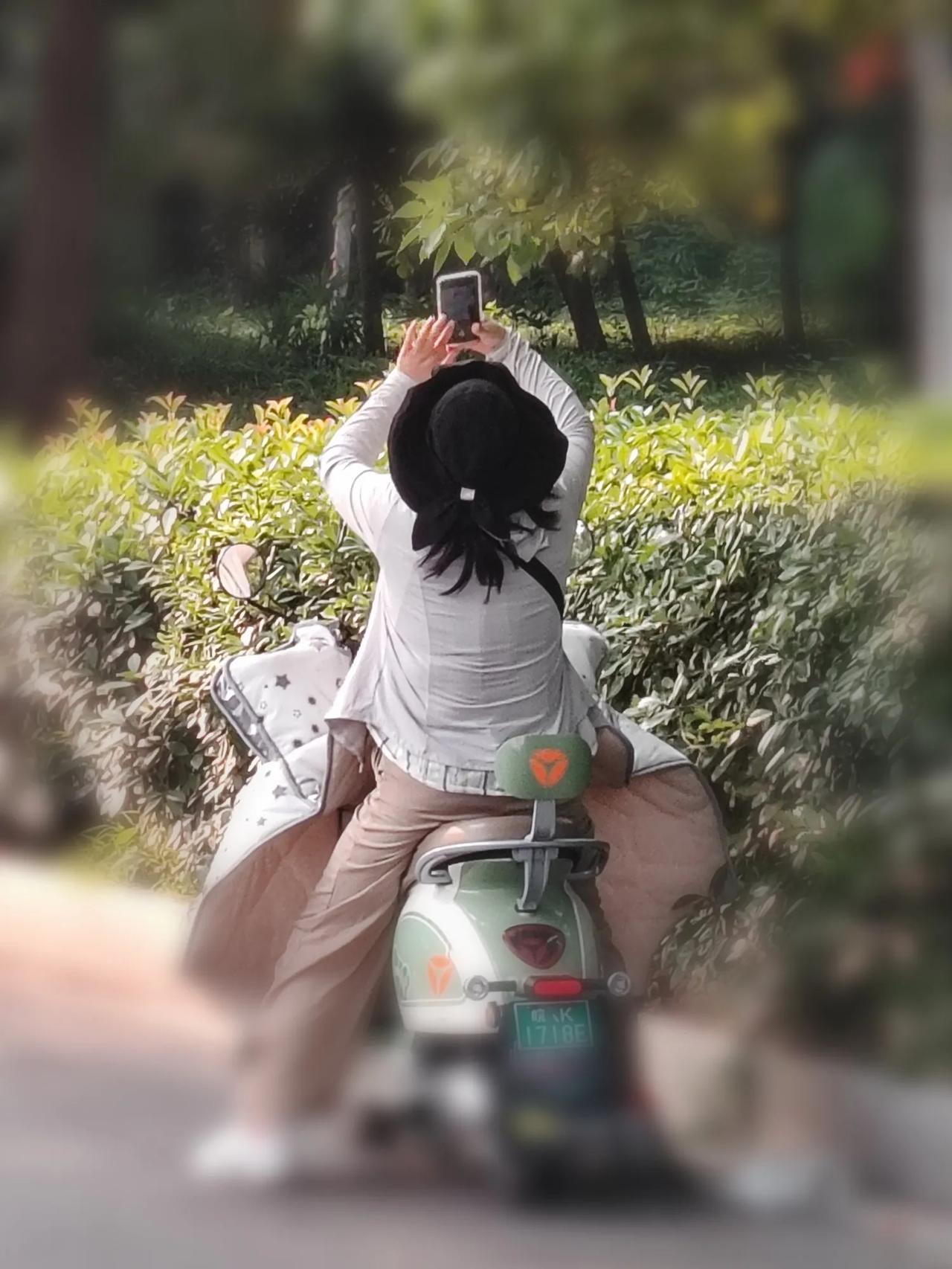 你在拍摄什么？
鸟儿还是云朵？
