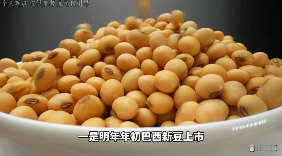 以下是关于“巴西大豆涨价反遭滞港教训”事件的综合分析，结合国际贸易逻辑、市场博弈