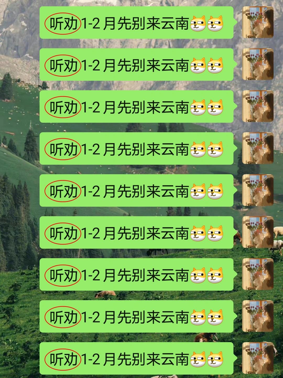 宝子们听劝1-2月去云南的姐妹👭这份攻略看