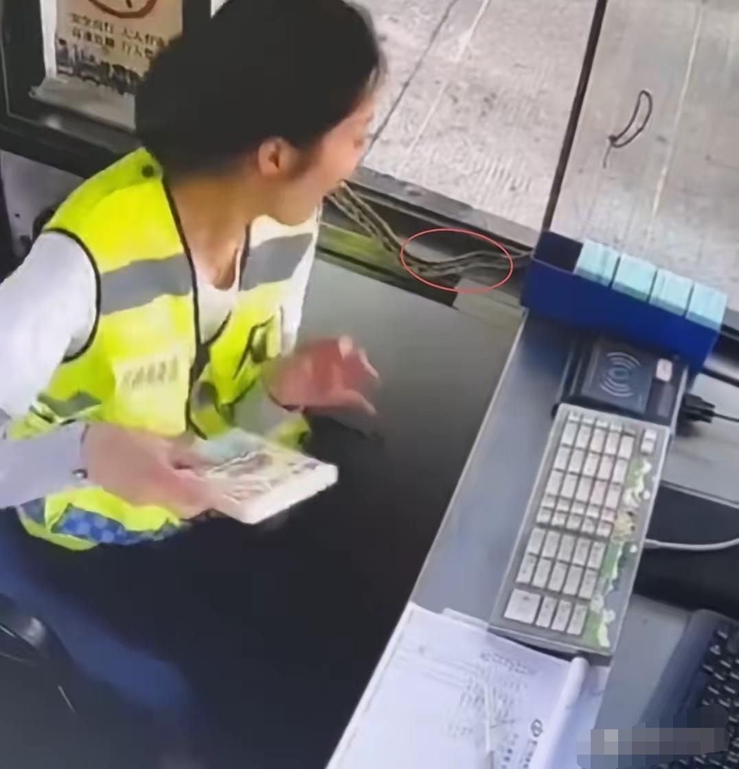 近日，一女子值班时，一条长蛇突然闯入室内。蛇在屋内缓缓游动，场面十分惊险。女子瞬