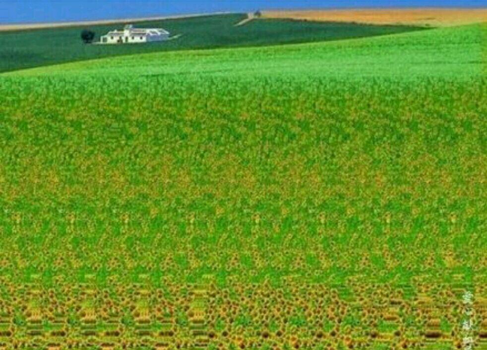 你看到了什么？（男人、女人、牛、马）你能看出来三维立体画吗?