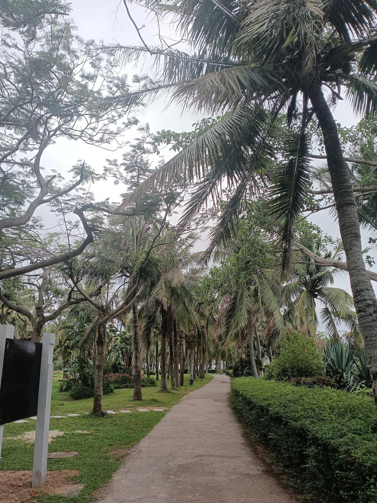 中东临时停火背后，伊朗的伤痛远超外界想象
 
一线记者传回中东战报，伊朗国内的惨