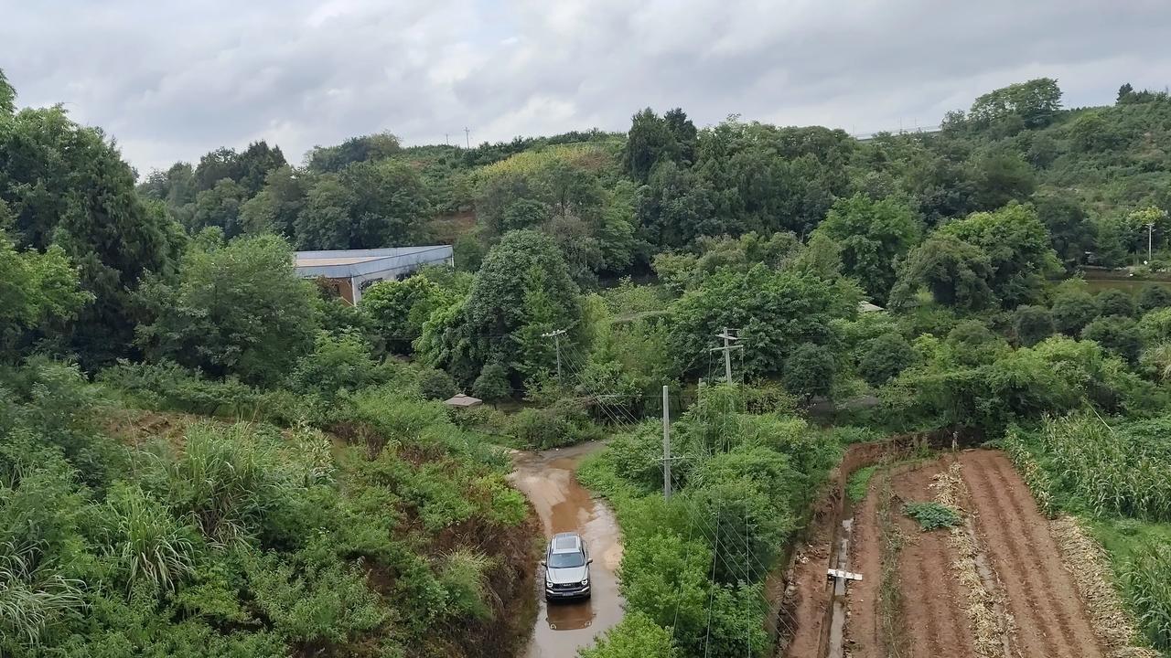 分享一张最近随手拍的照片。