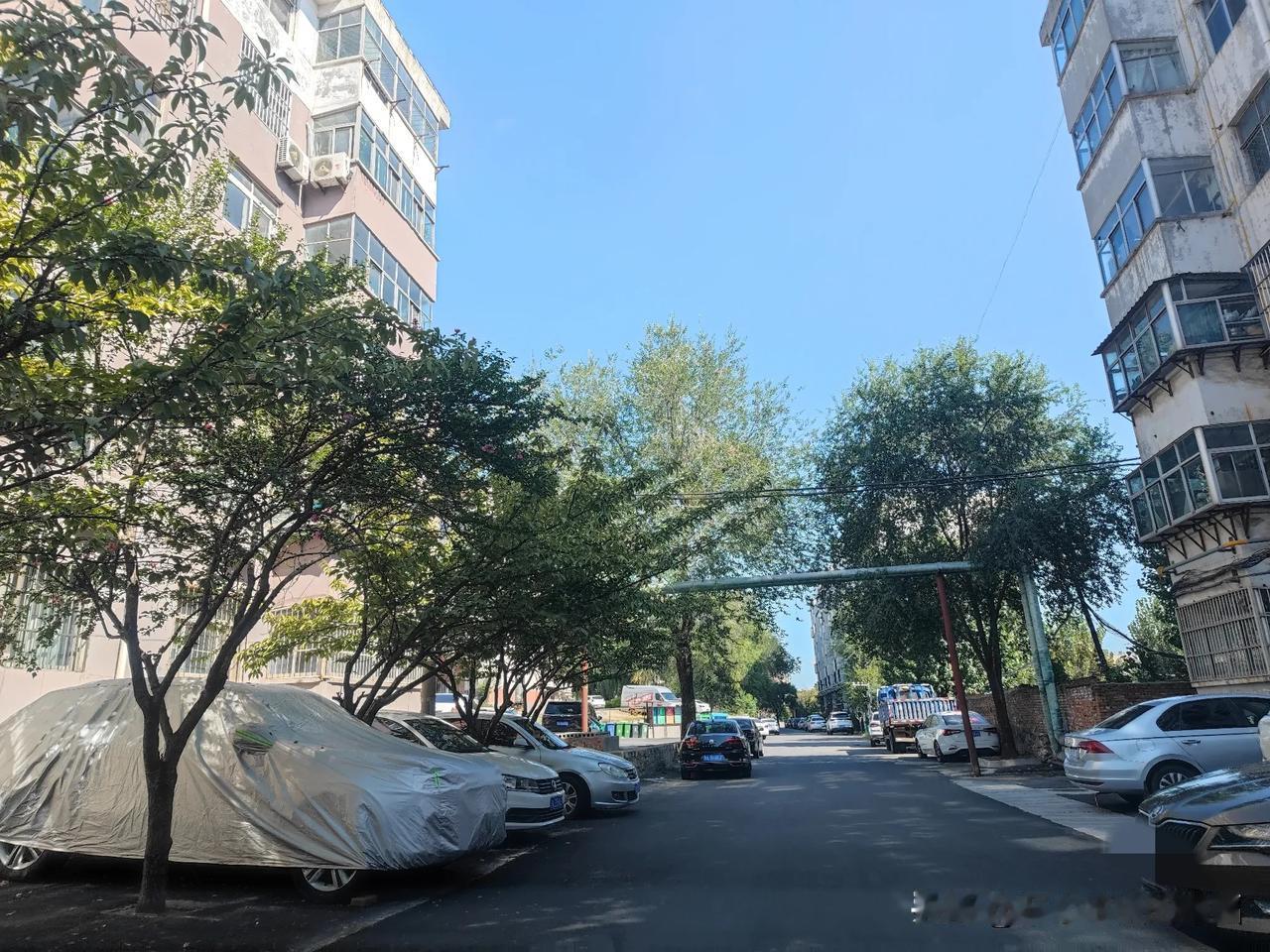 曾经生活过的地方，有过希望和梦想，也有过疲惫和厌倦，但仍有舍不得的人，舍不得的事