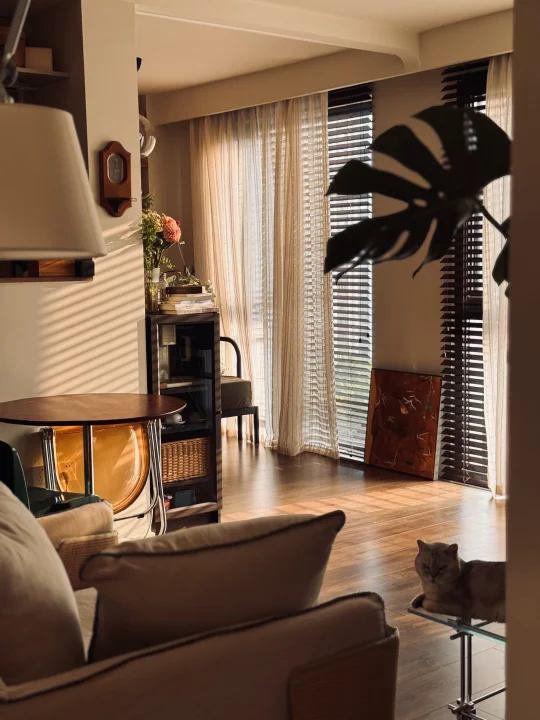 56平一人居｜和自己住了很久