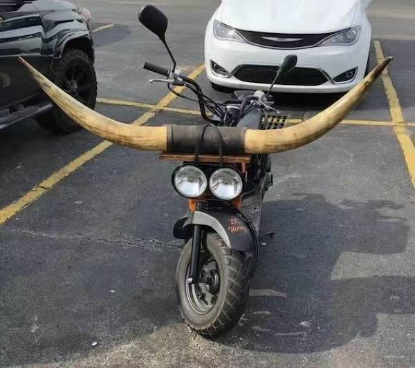 车若初见 见过横的，没见过这么横的