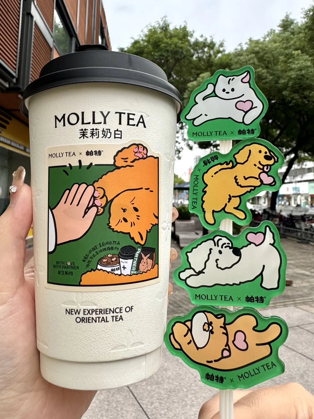 终于集齐了！！茉莉奶白宠物公益活动周边！！！