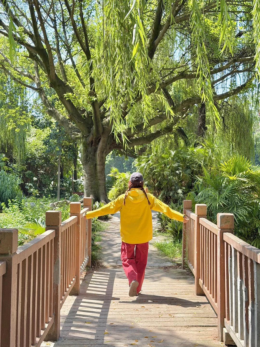 去户外爬山吧！风会给你答案！！