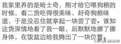 每只二哈上辈子都是折翼的天使！哈哈哈笑抽了！！