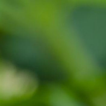 正能量[超话]正能量 正能量不是没心没肺，不是强颜欢笑，不是弄脏别人来显得干净。