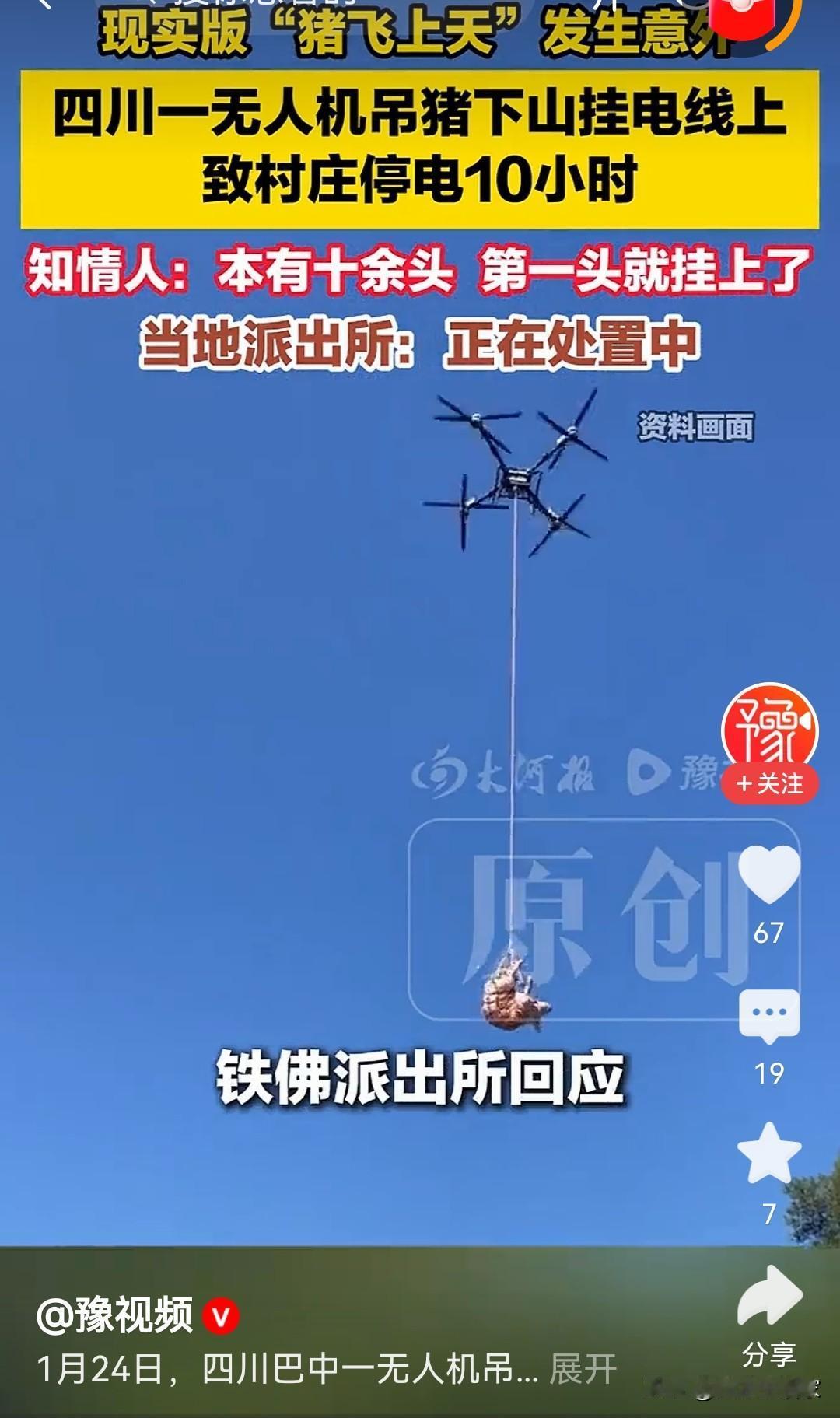 今年的猪能不能安安稳稳挨一刀过年了。

四川巴中被吊起的猪说：“这被吊在天上上上