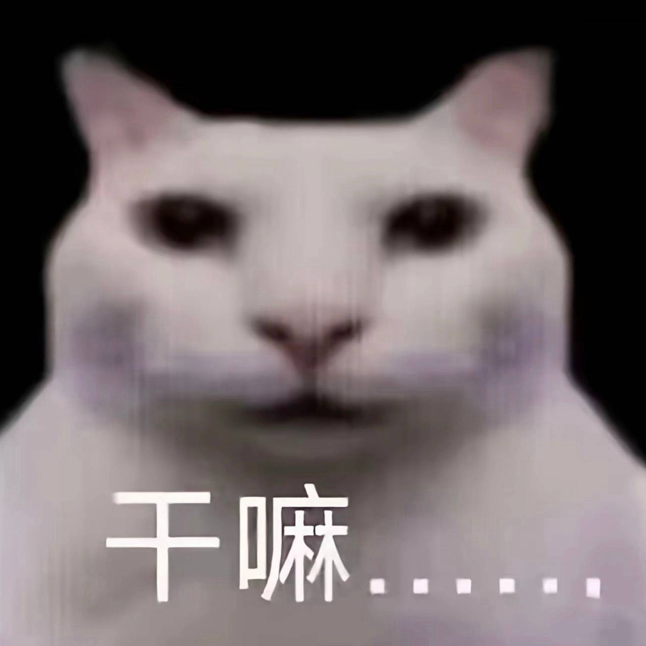 许我耀眼之前也改了排播关许我耀眼啥事❓许我耀眼首日10点空降，没有任何定档宣发，
