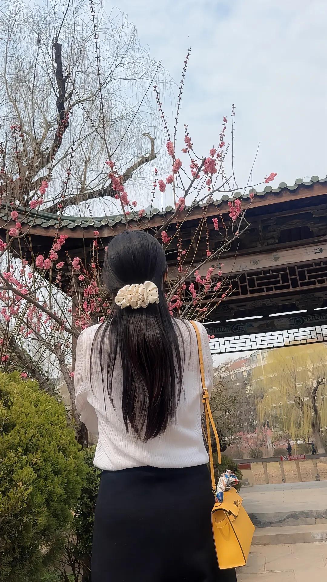 樱花树下，优雅背影，春日里的浪漫时光。