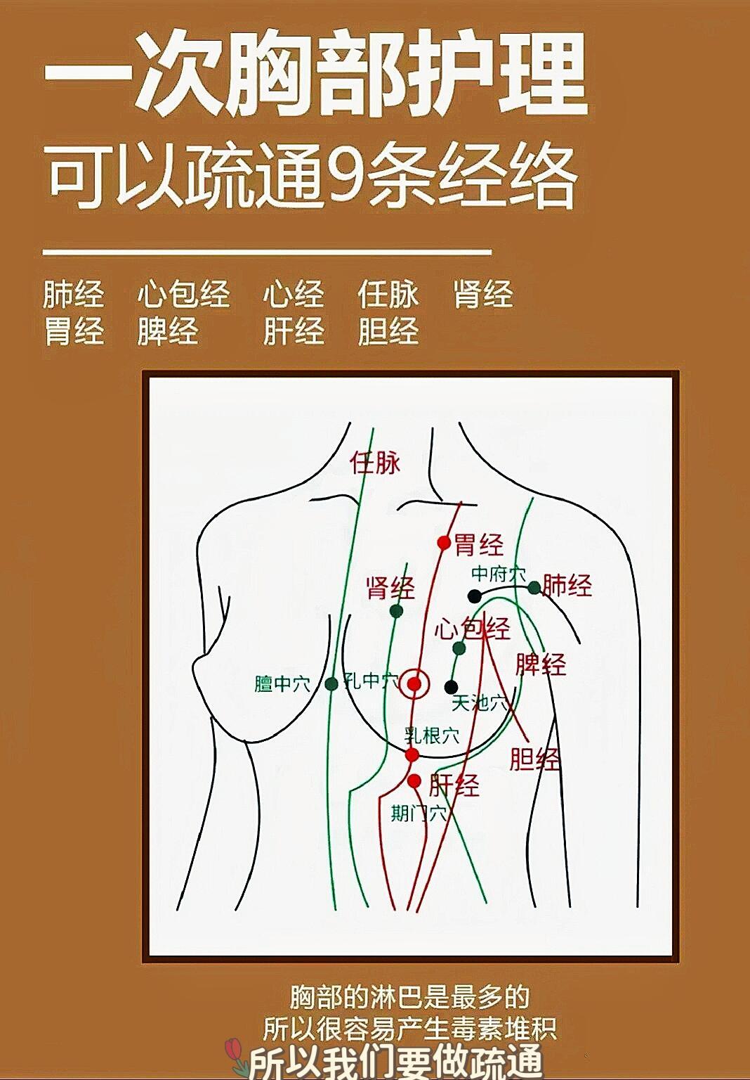胸部禅拍法，可以疏通气机。女性一定要胸部做禅拍手法，可以打通🐻部气机，疏通方法