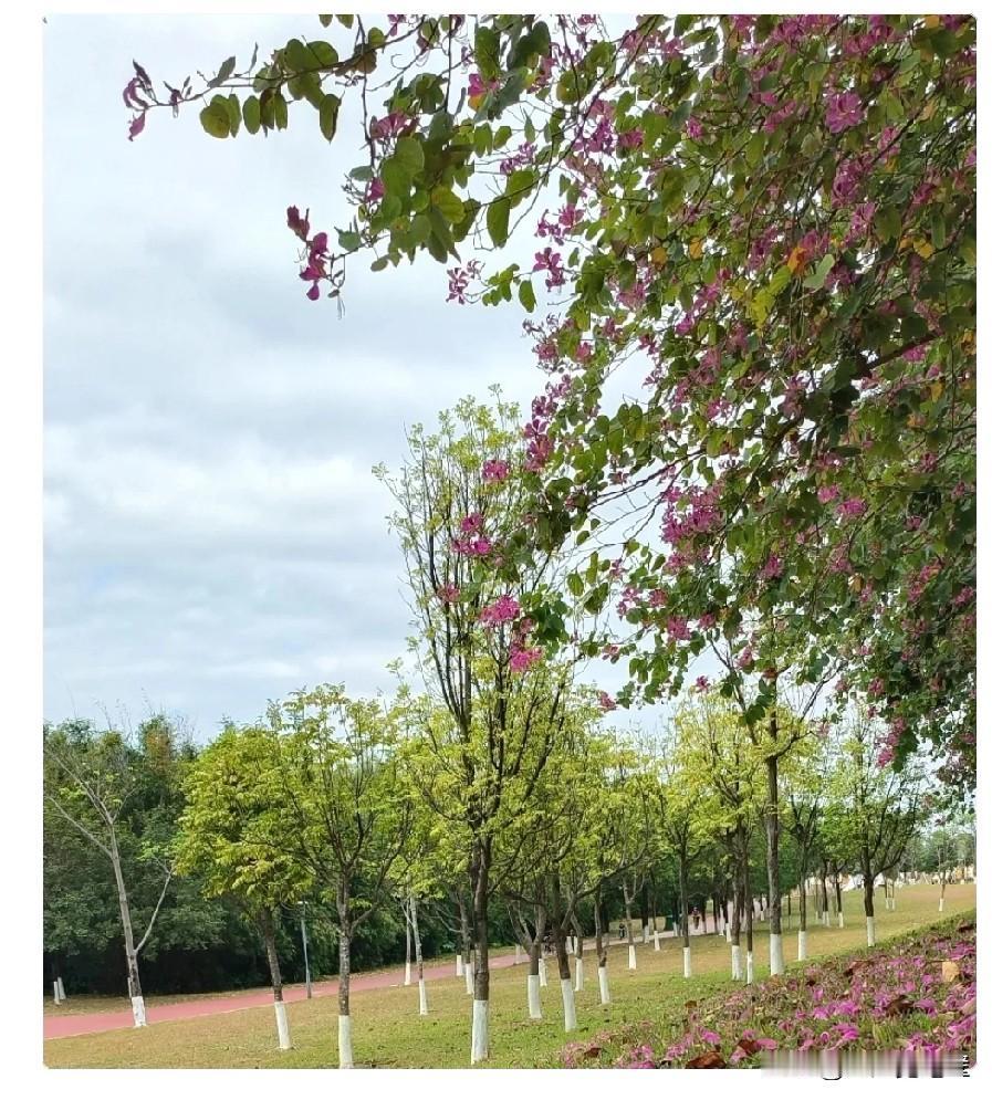 昨天，远嫁武汉的大姑子给我转了3000元，并说她今年要回娘家过年，让我多备点年货