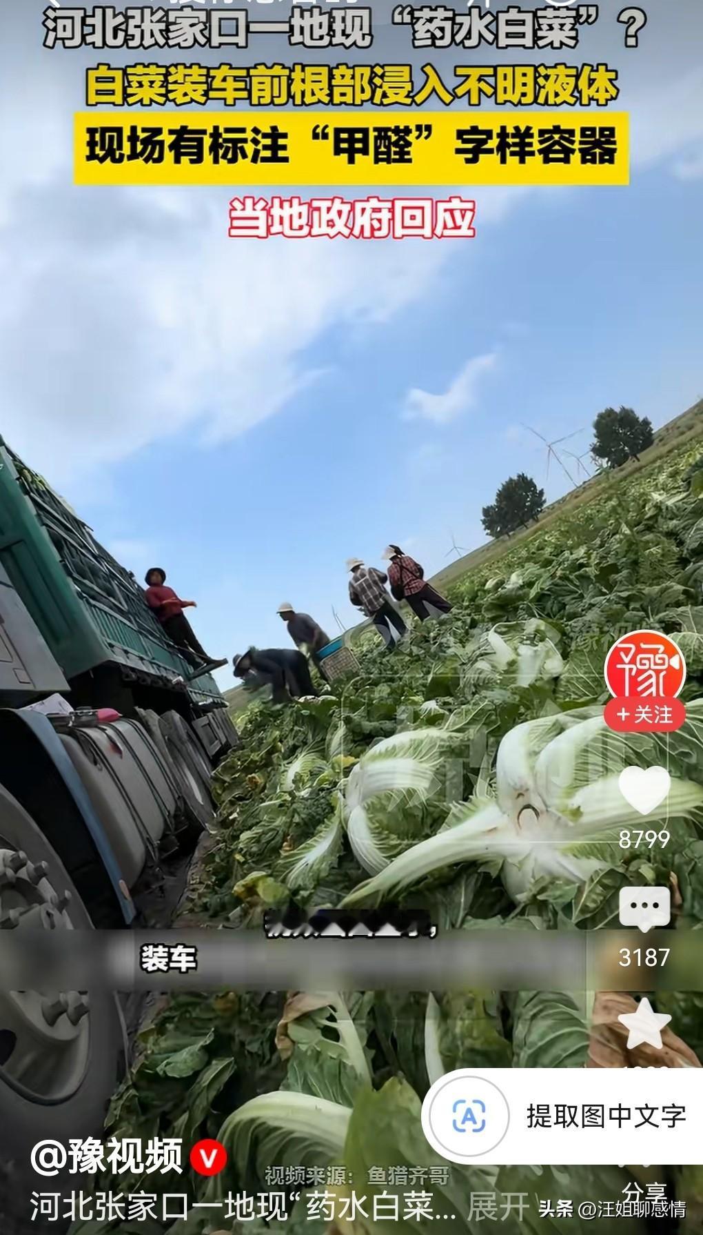 你如何看待河北张家口甲醛白菜事件？白菜蘸甲醛：这“保鲜”保的不是菜，是昧心钱
