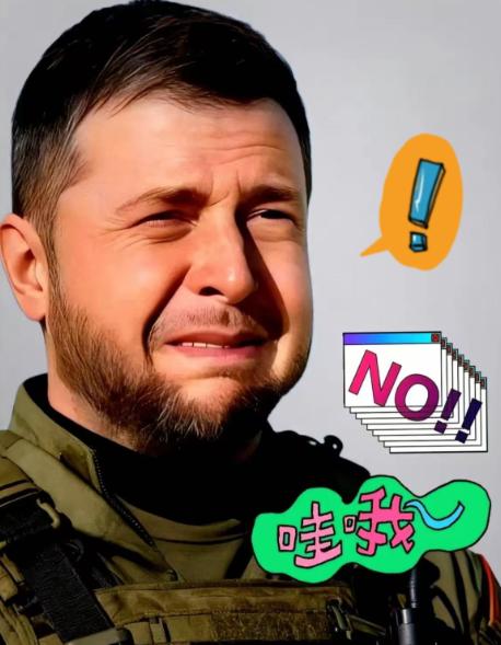 乌克兰总统泽连斯基宣布了

2026年1月7日，乌克兰总统泽连斯基在访问塞浦路斯