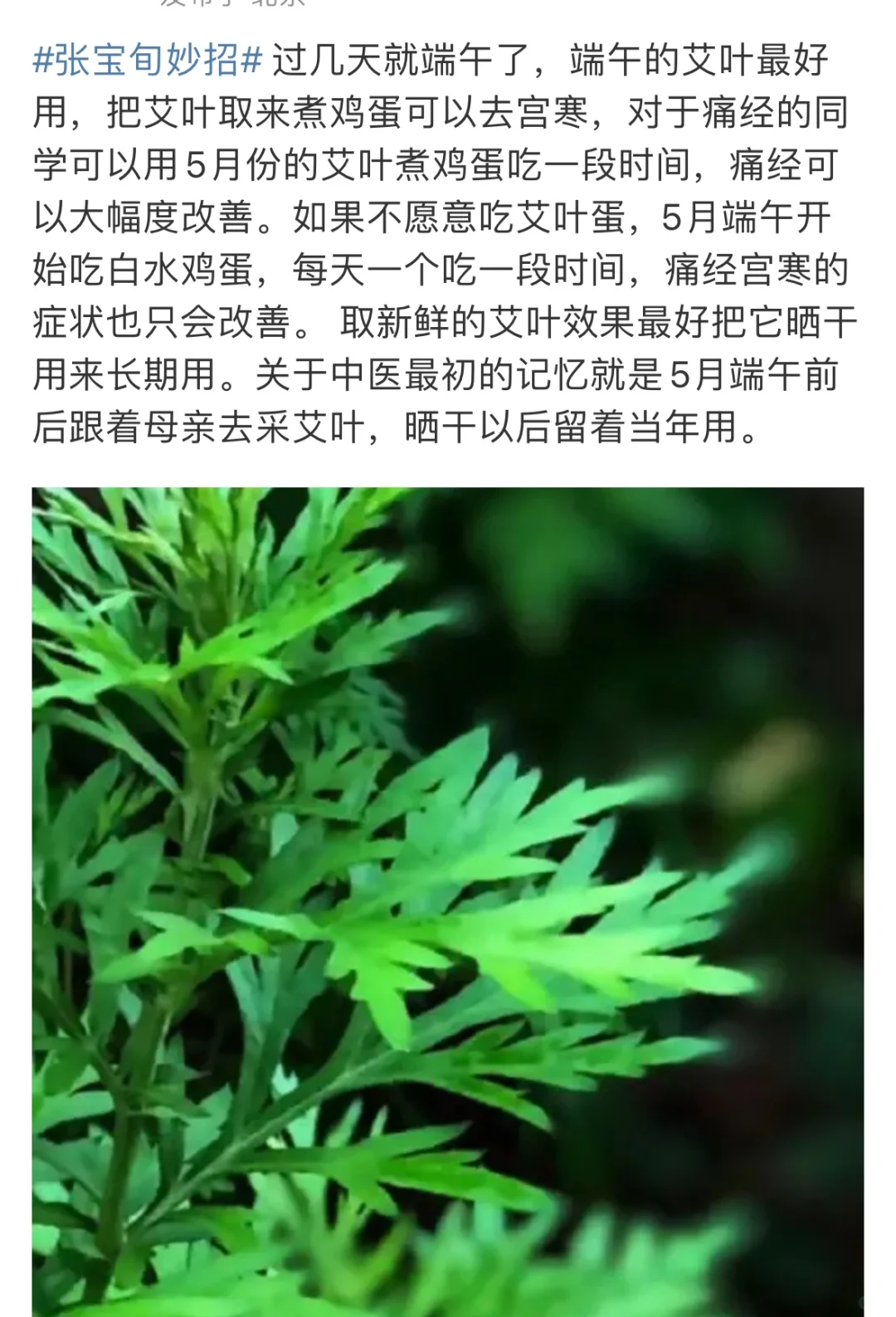 痛经小妙方：“端午的艾叶煮蛋！”