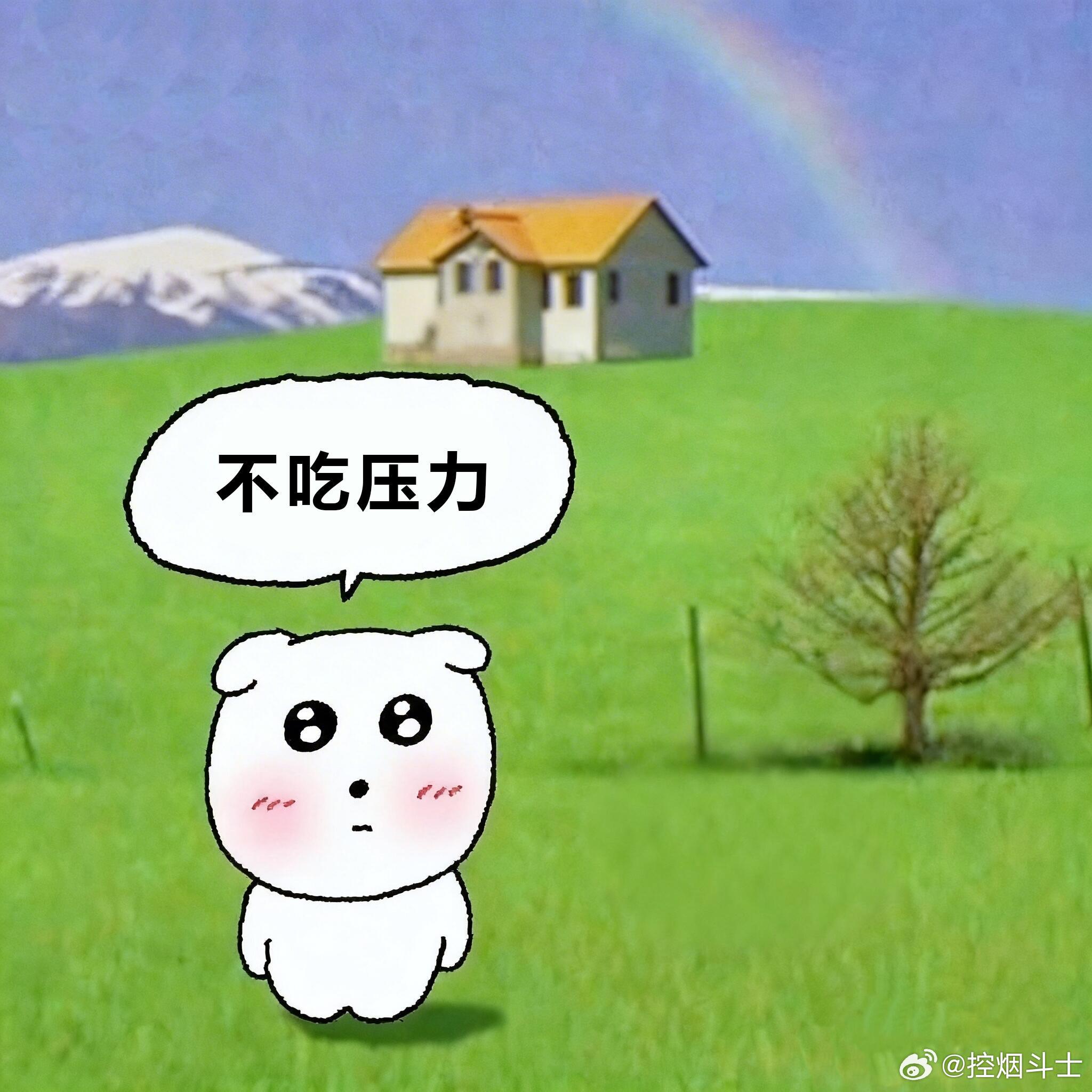 🚫 2026年最爽人设：不吃压力“不吃压力”是什么意思？不是摆烂，不是逃避。是