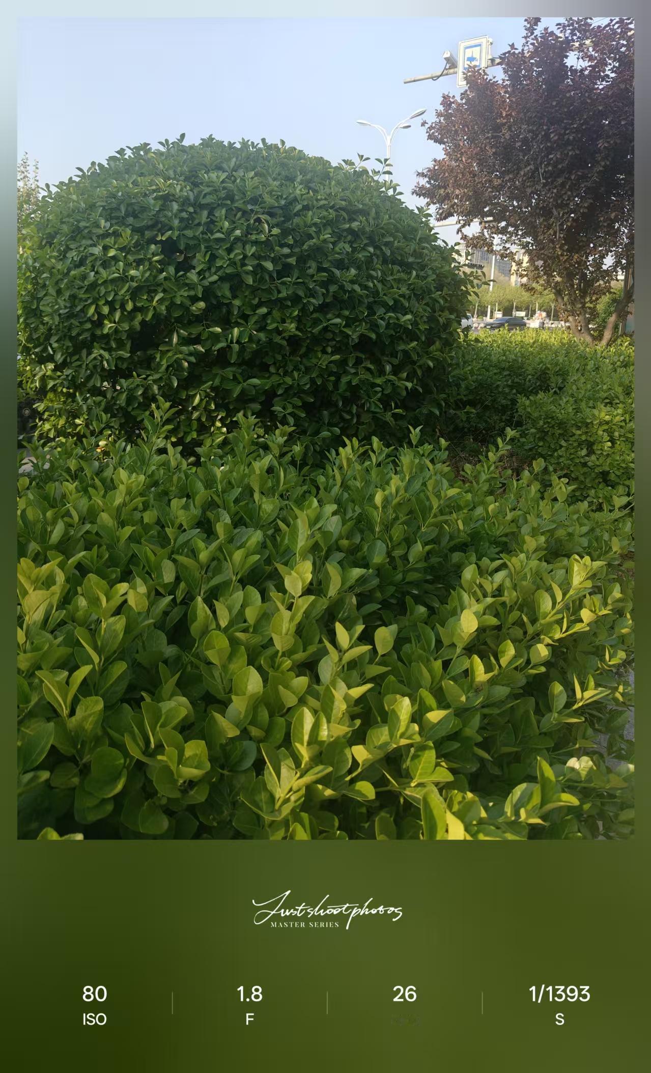 4月23日，一年之季在于春，春光明媚，今天的幸福生活来之不易，我们要好好珍惜吧！