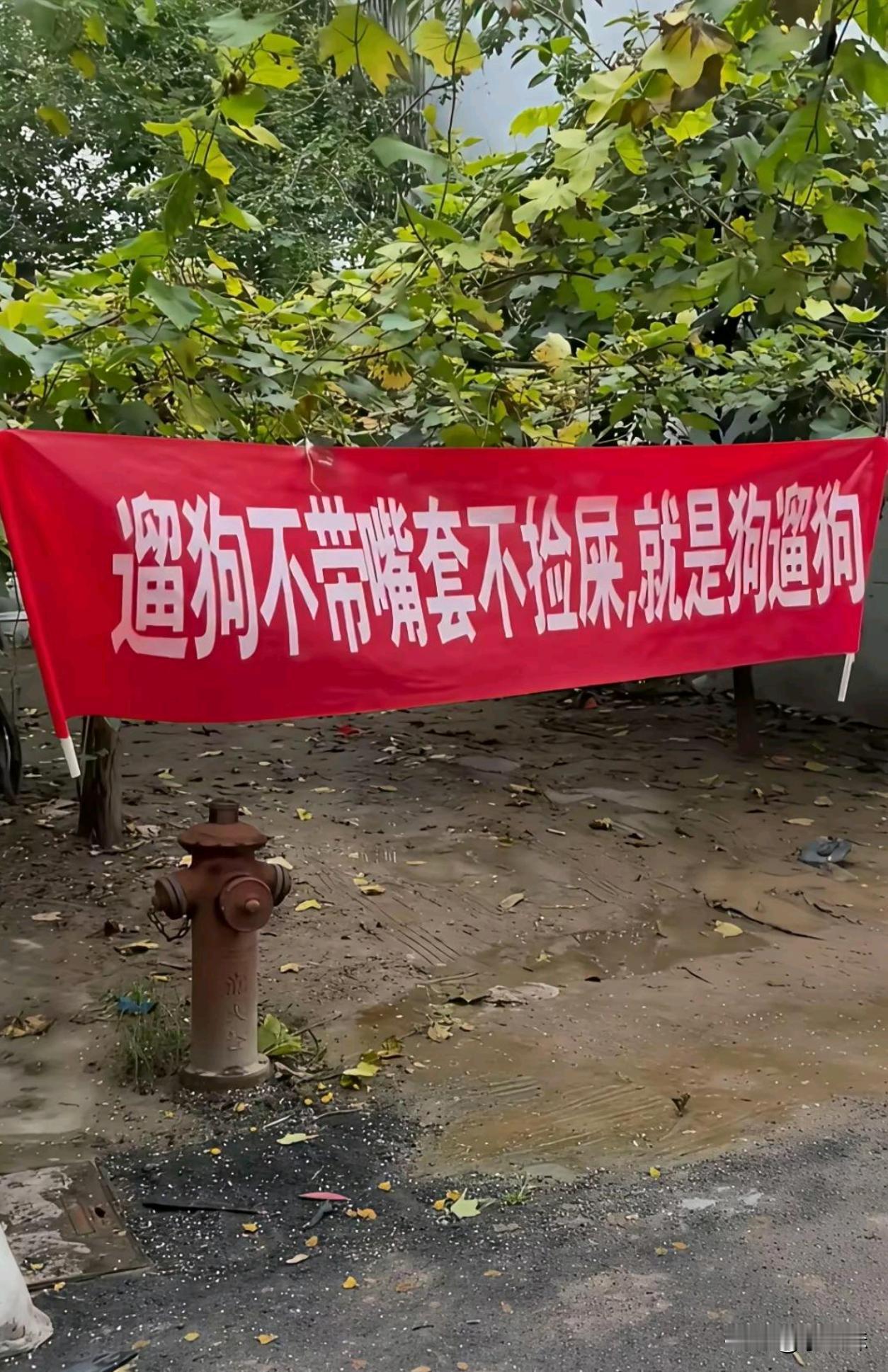 物业挂的这横幅，你们觉得说的对吗？