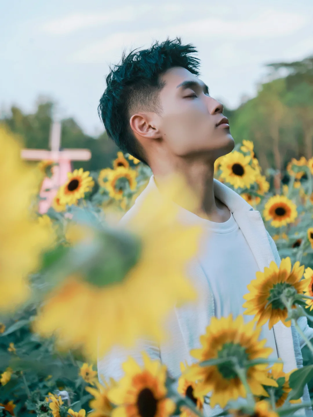 佛山秋日氛围顶流🌻被顺德向日葵花海包围