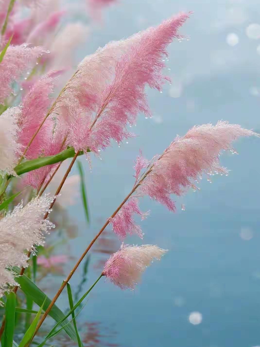 一个有野心的女人是真的迷人！

她雌雄同体，
想要的自己去争取，
只专注在自己的