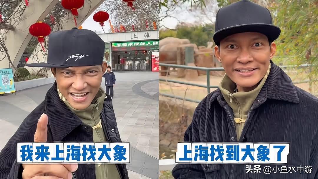 泰国武打巨星托尼贾患癌暴瘦，现身上海动物园被误认成山寨版。