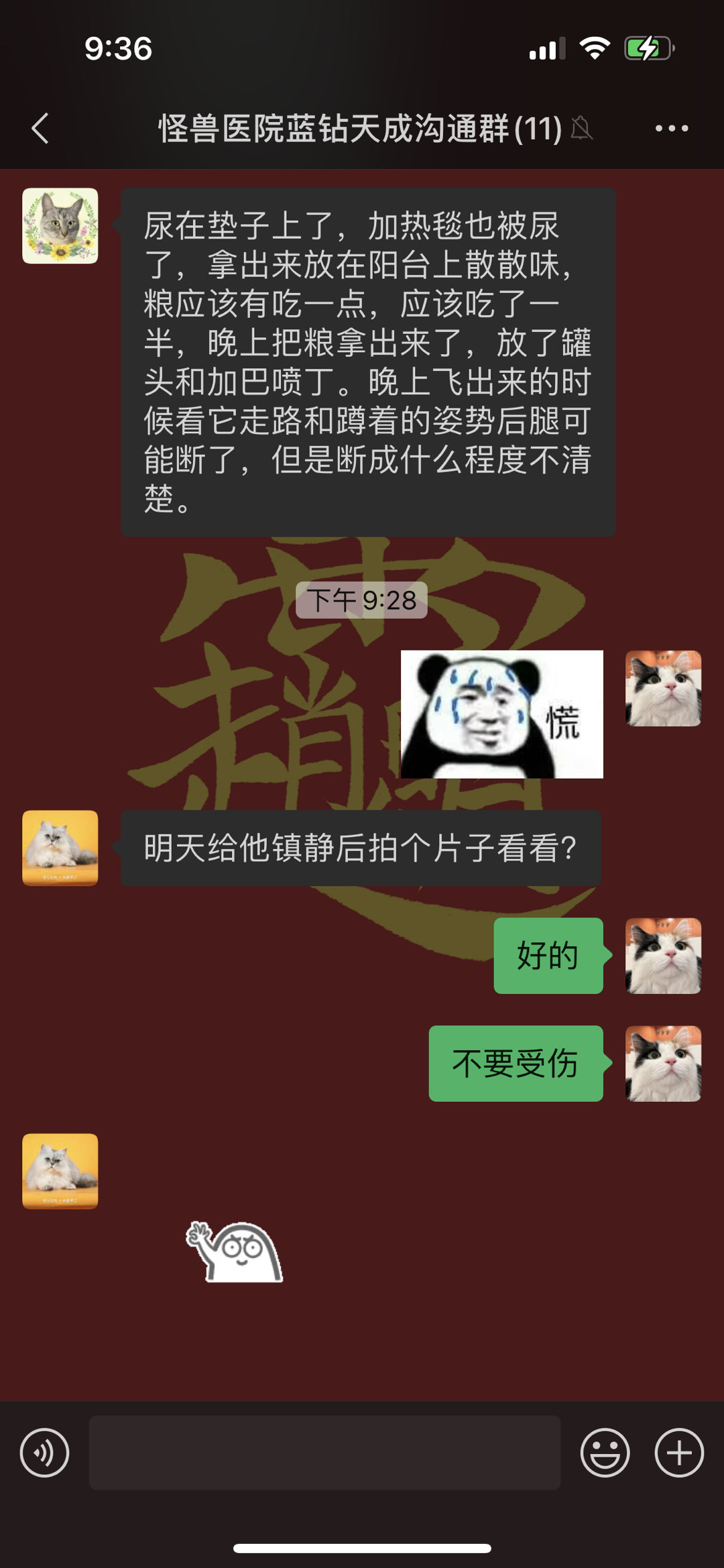 [苦涩] 手气不好，慌得一匹希望明天拍片结果是没有啥大碍#冬日姜温暖##萌宠初冬