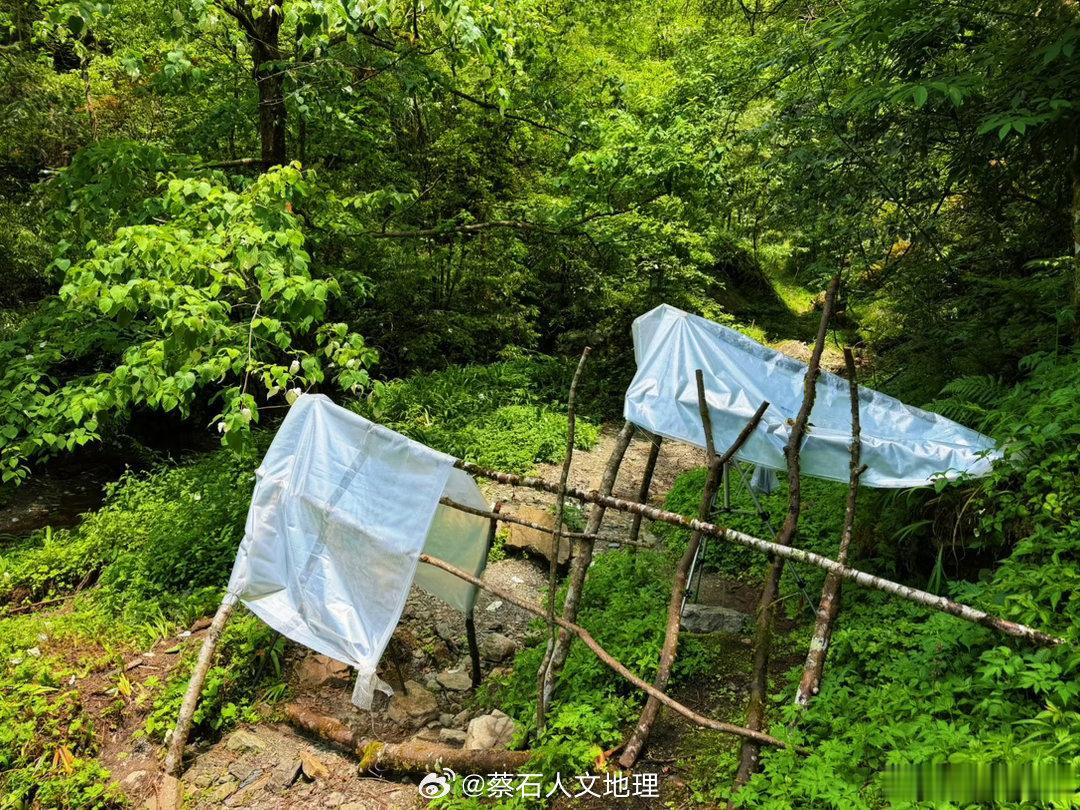 生态摄影 从县城出发，先开一小时国道，再开半小时爬山乡道，再走半小时山路，才会来