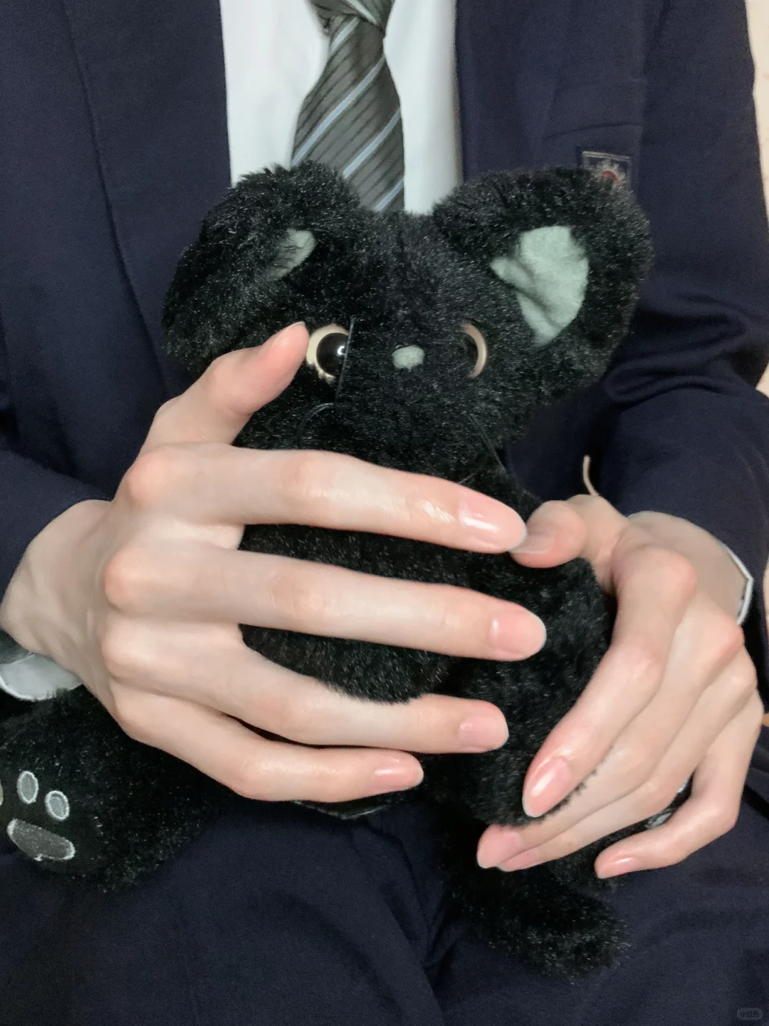 我家的猫会后空翻