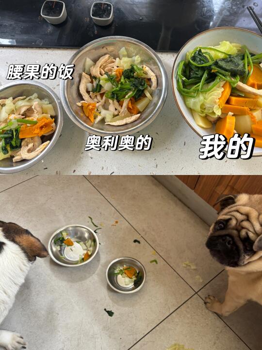 一顿饭打破人和狗的差异性