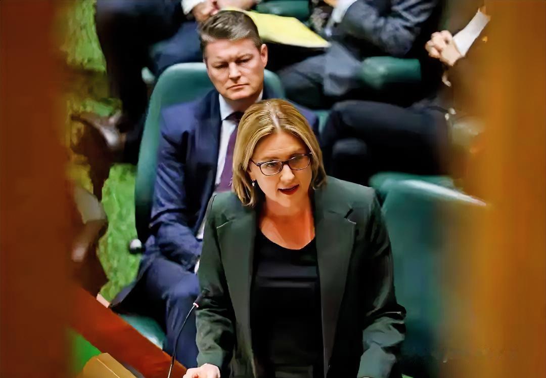 澳大利亚维多利亚州议会整了出“道歉大戏”——州长杰辛塔·艾伦带着桉树叶熏香的仪式