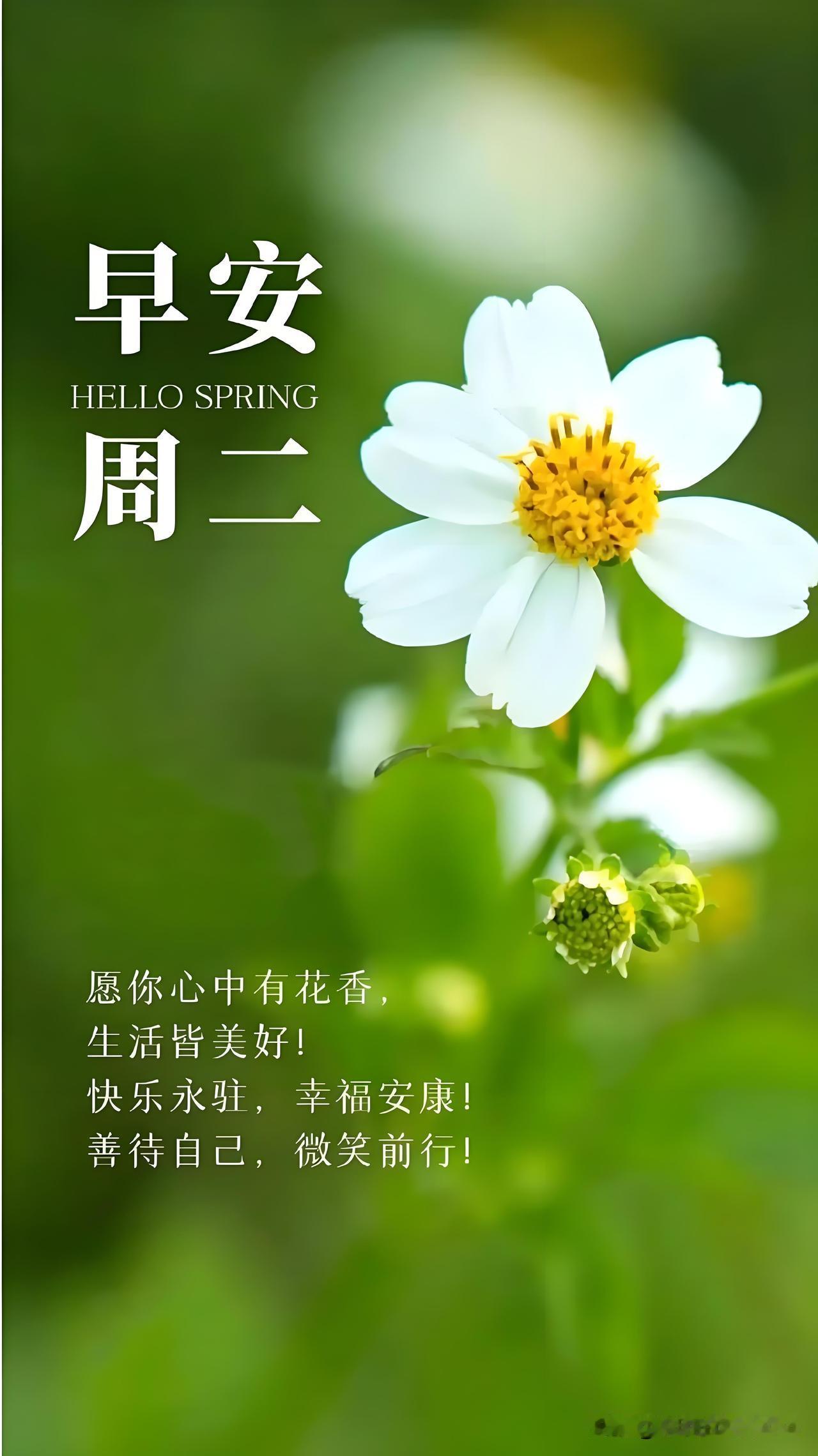 🍃꧂🌞早上好💕᭄🌿☕️
          2026/07/21   早