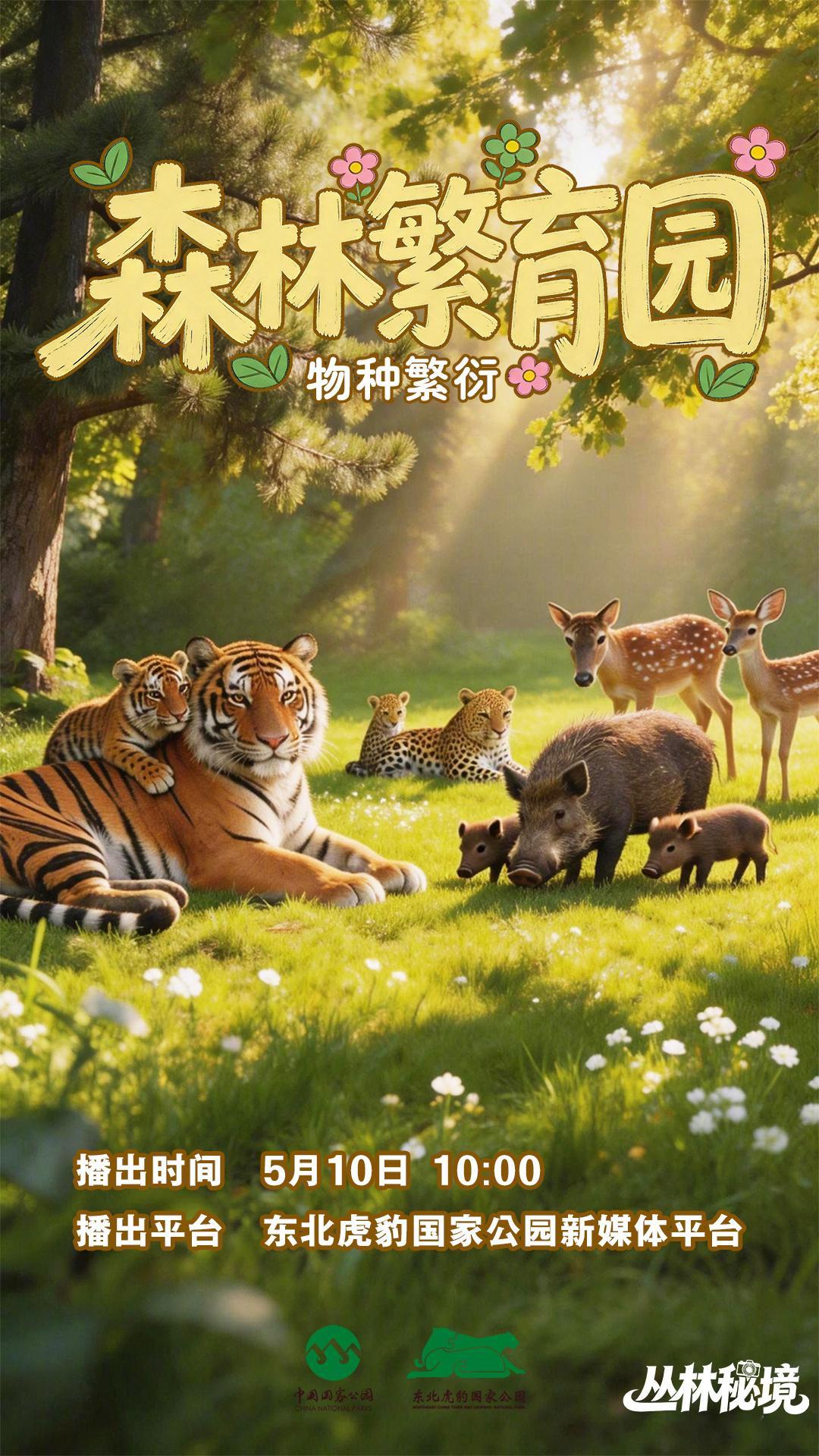【播出预告：森林繁育园🌿】万物皆有灵，母爱本无疆。5月10日（母亲节）上午10
