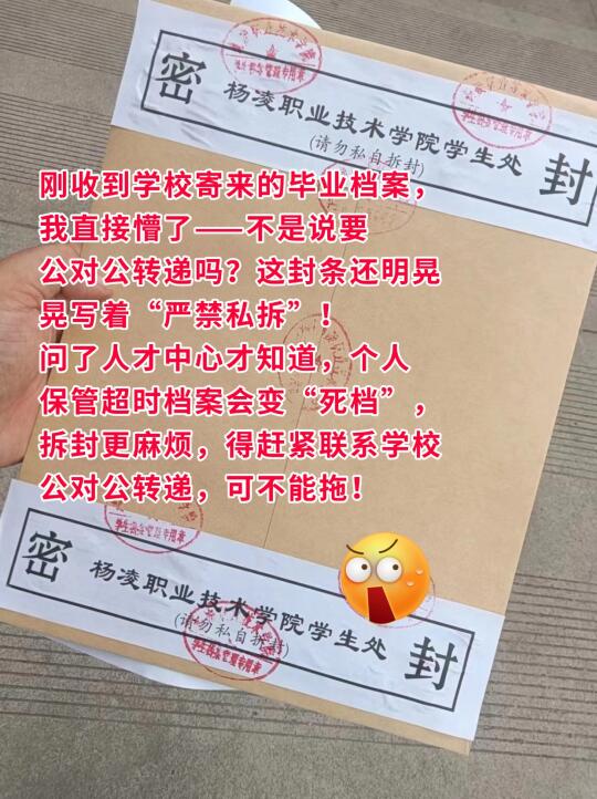 毕业档案发我手，我该咋整啊？😫