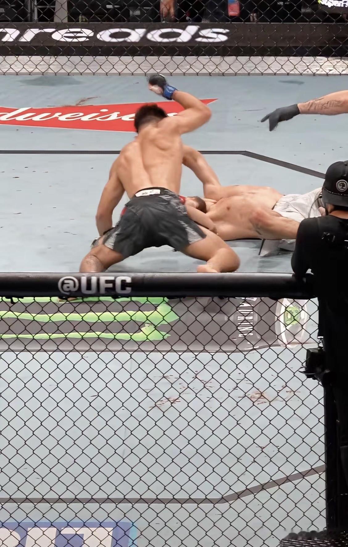 宋亚东会不会成为国内男子UFC第一个世界冠军啊？

谈到拳击类赛事，就会让人联想