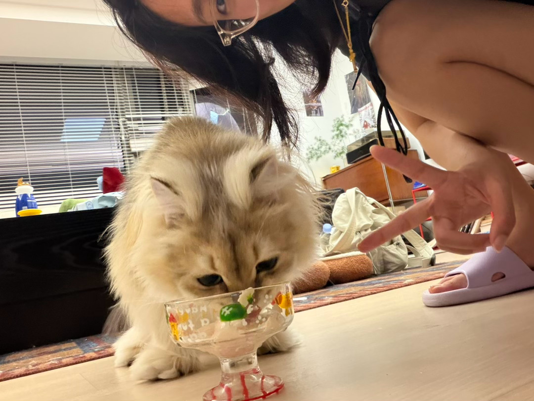 姐妹们！！放心！安全到家了！！豆角真是想我了 拿头撞我