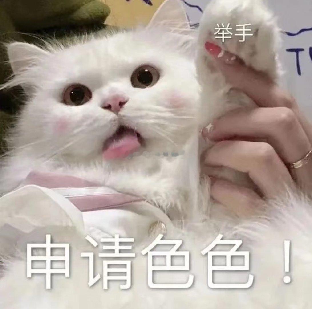 是谁在这个假期见面啦！快给我喂饭饭，我要狠狠吃狗粮恋爱