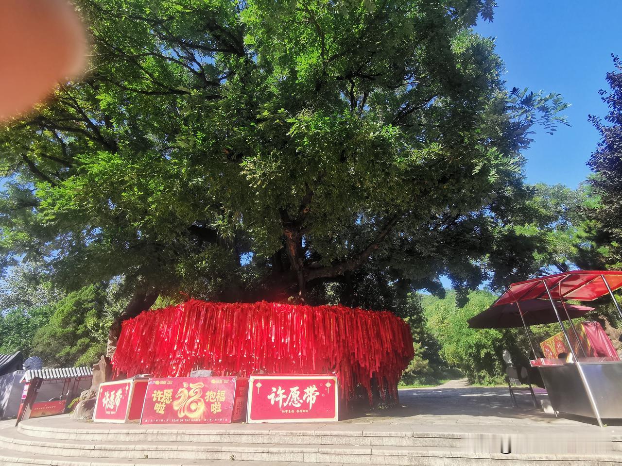 世事流转，随遇而安

又是一年秋风起。昨天还沐浴着渤海湾温润的海风阳光，今日便遇