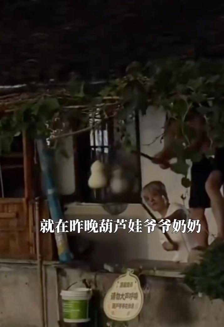 人有时候还真不能太闲、太较真！爷爷一口气剪掉了7个葫芦，本来只是件小事，没想到却