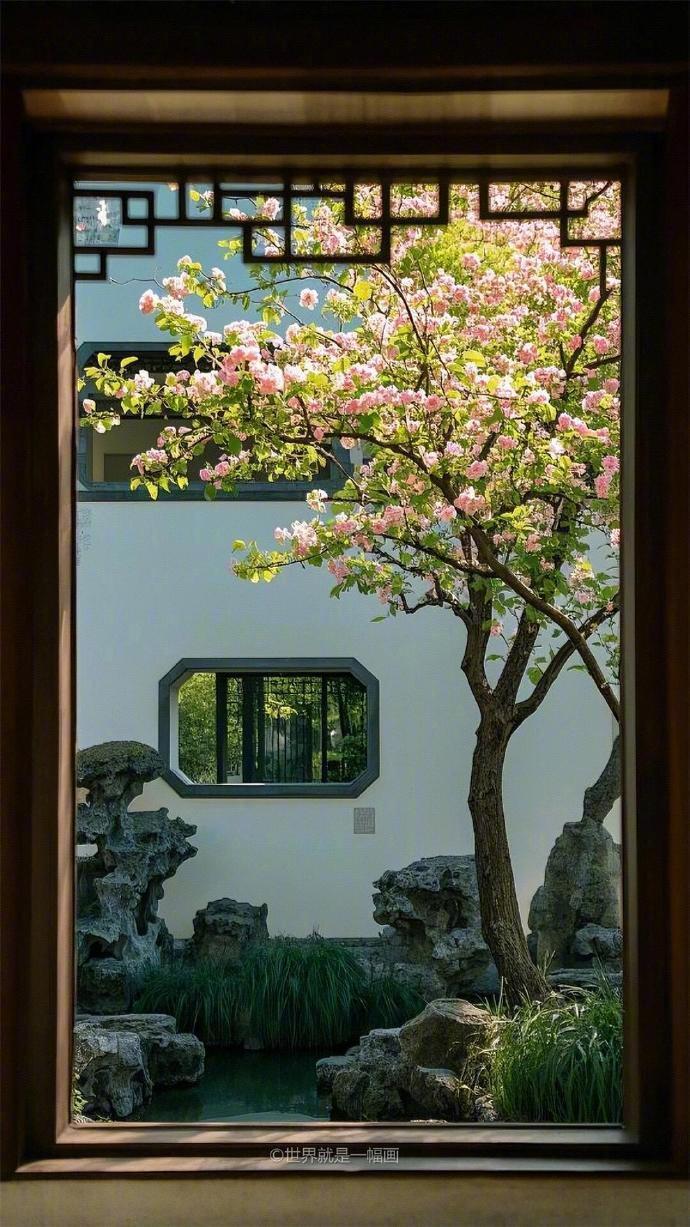 “ 花窗如画，疏影看花 