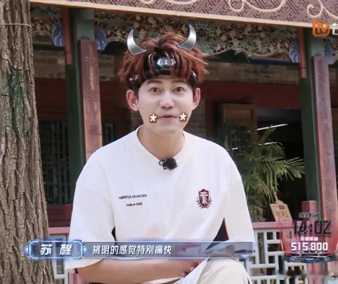 苏醒，这届《全员加速中》的“老狐狸”实锤了！节目组、队员与观众皆认定，不管他是否