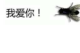 我是苍蝇，我要当苍蝇，我要吓唬哥哥，我要嗡嗡嗡嗡骚扰哥哥，来打我呀