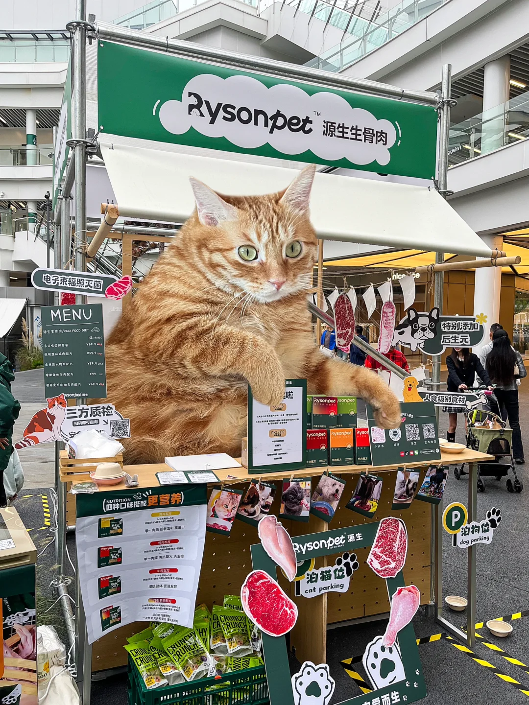 听劝，别来CyPARK了…………
