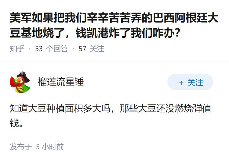 美军如果把我们辛辛苦苦弄的巴西阿根廷大豆基地烧了，钱凯港炸了我们咋办？