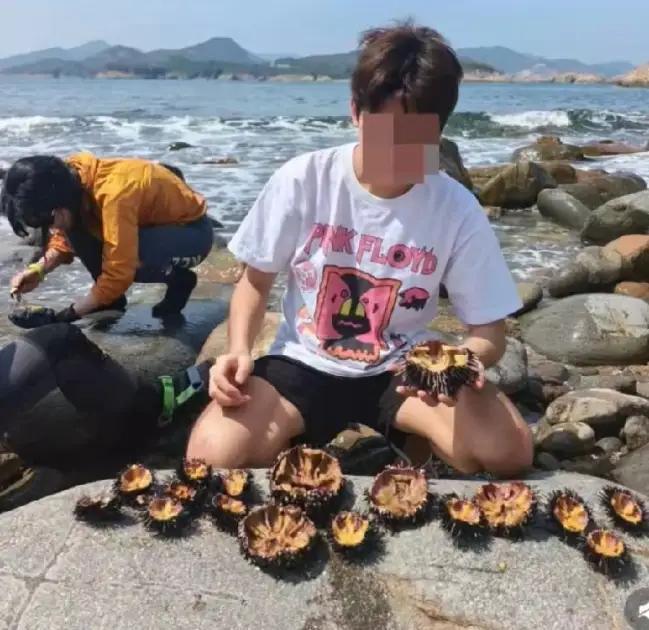 三十多只海胆，被一个个从海底捞上来，当场撬开壳，在海边就吃上了。

还有人专门拍