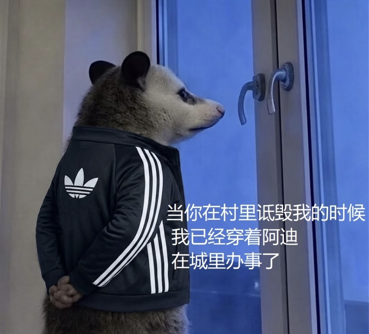 穿adi办das你怎么知道我今天穿的就是adi，原来我就是要进城办das的人